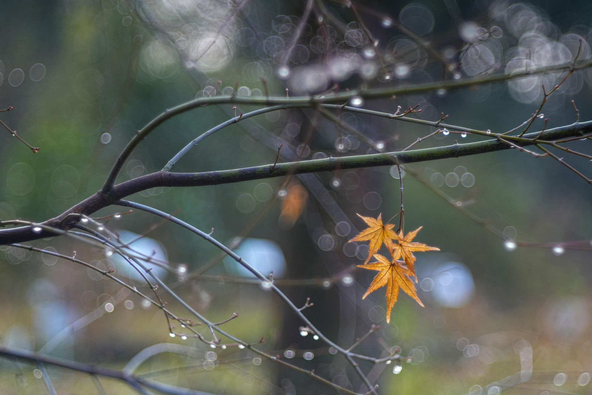 Lehűl az idő a következő napokban: esőre, havas esőre, havazásra lehet számítani vasárnapig