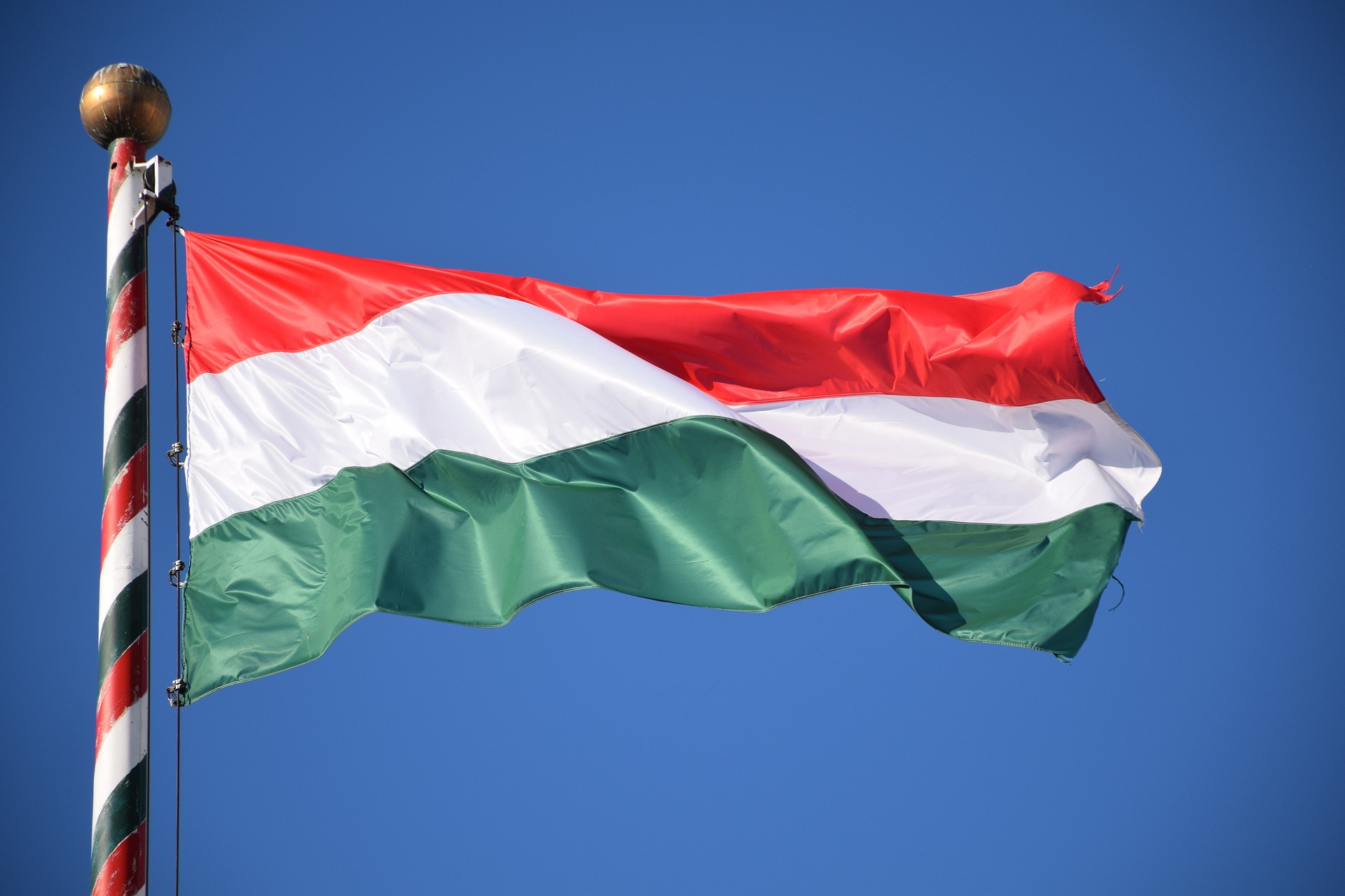 Ballagó diákok égettek magyar zászlót Szabadka központjában