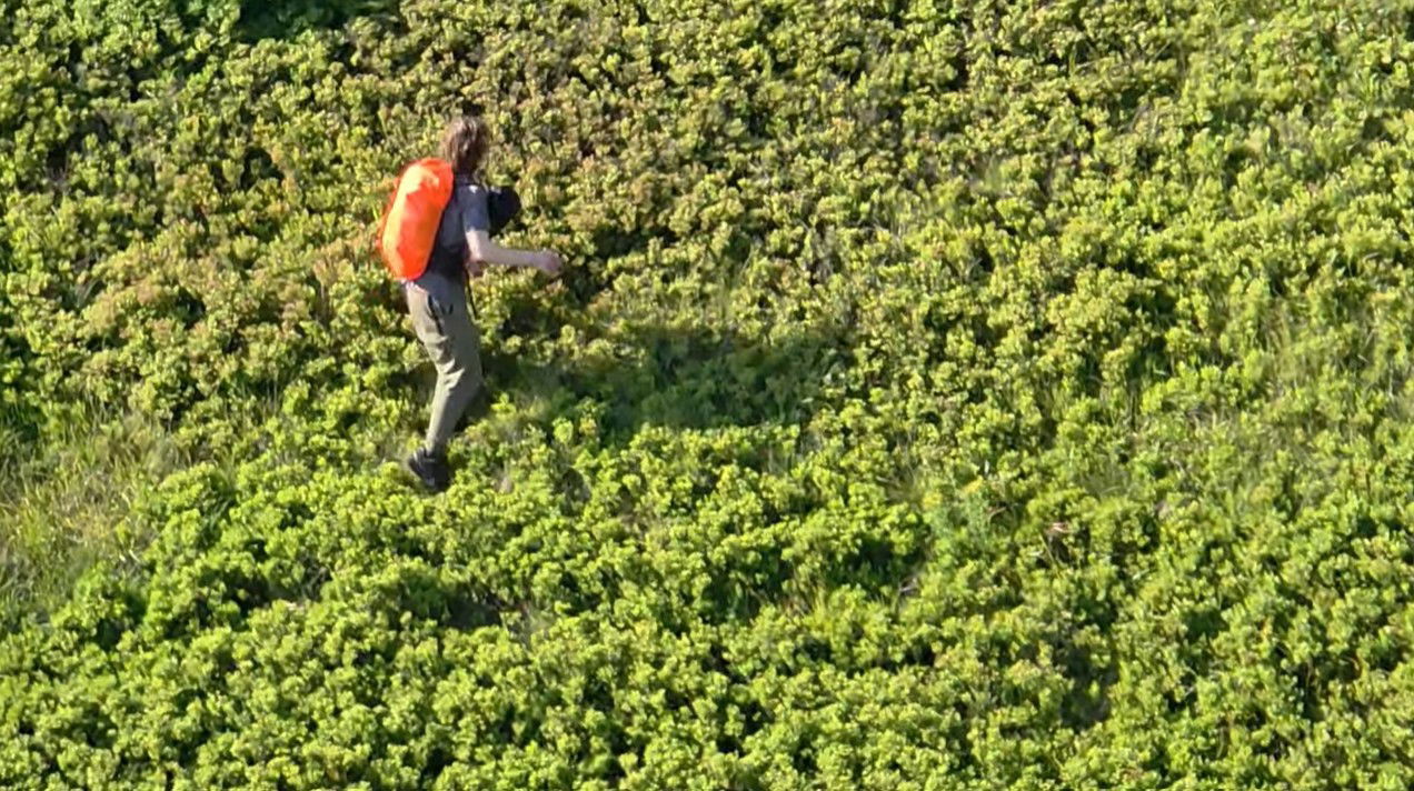 Négy nap keresés után hoztak le egy ukrán fiatalt a Máramarosi-havasokról