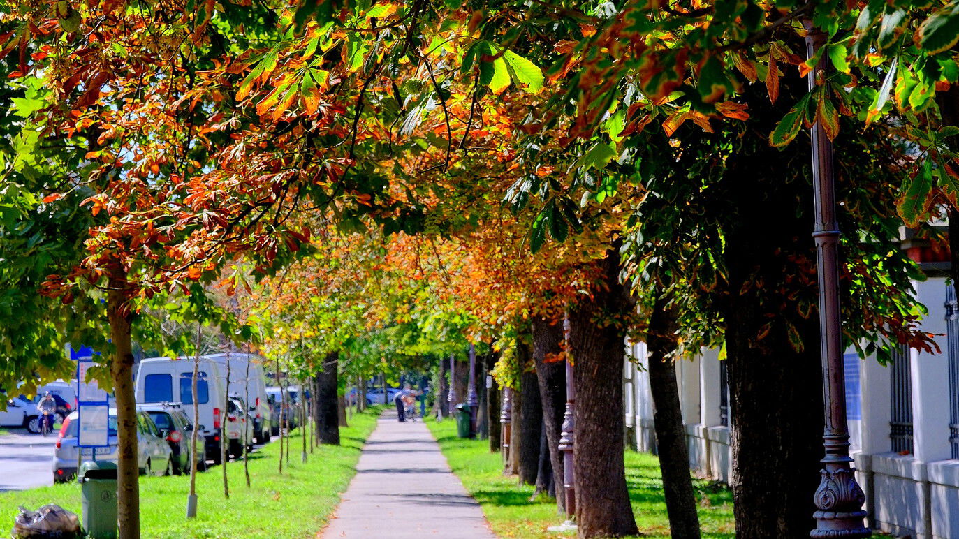Időjárás: országszerte lehűl az idő a következő napokban