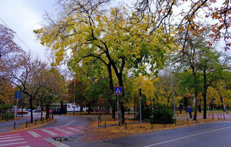 Október végéig szép időre, novembertől lehűlésre és csapadékra lehet számítani