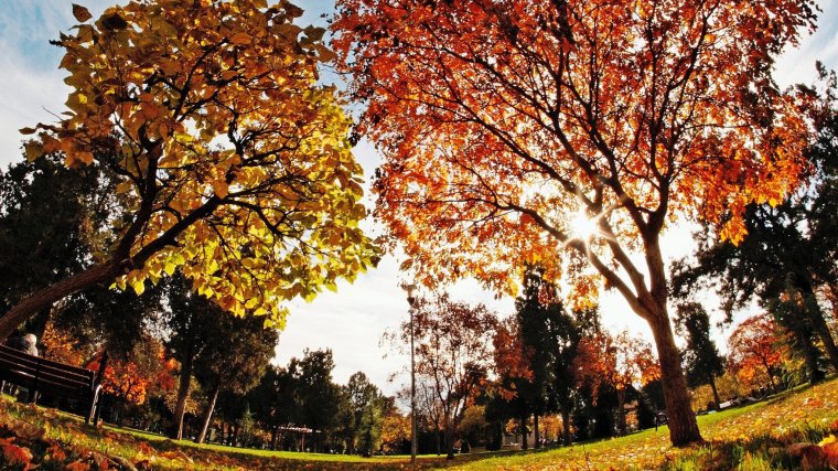 Az ilyenkor megszokottnál melegebb időre lehet számítani a következő két hétben