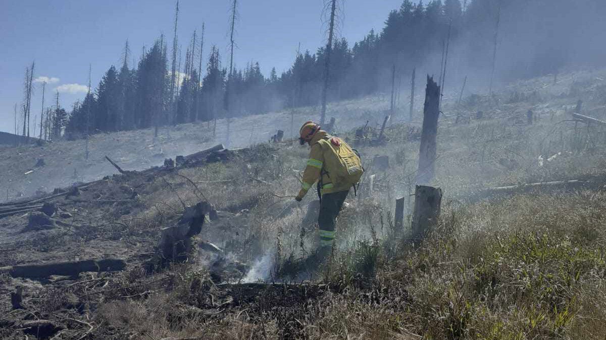 Erdőtűz pusztított Jádremete környékén