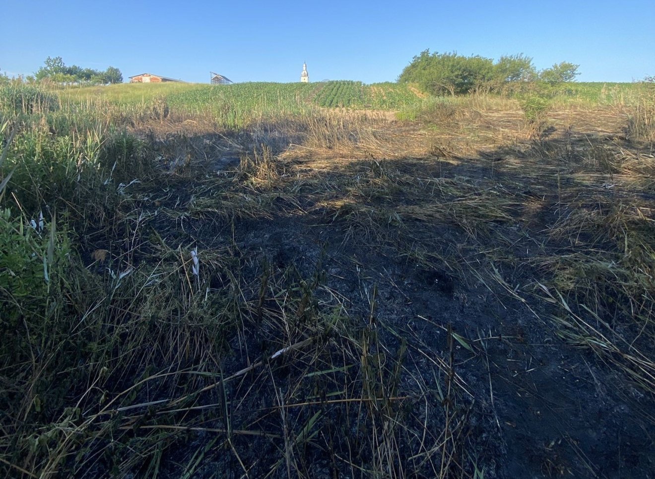 Tarló- és erdőtüzek pusztítottak Bihar megyében