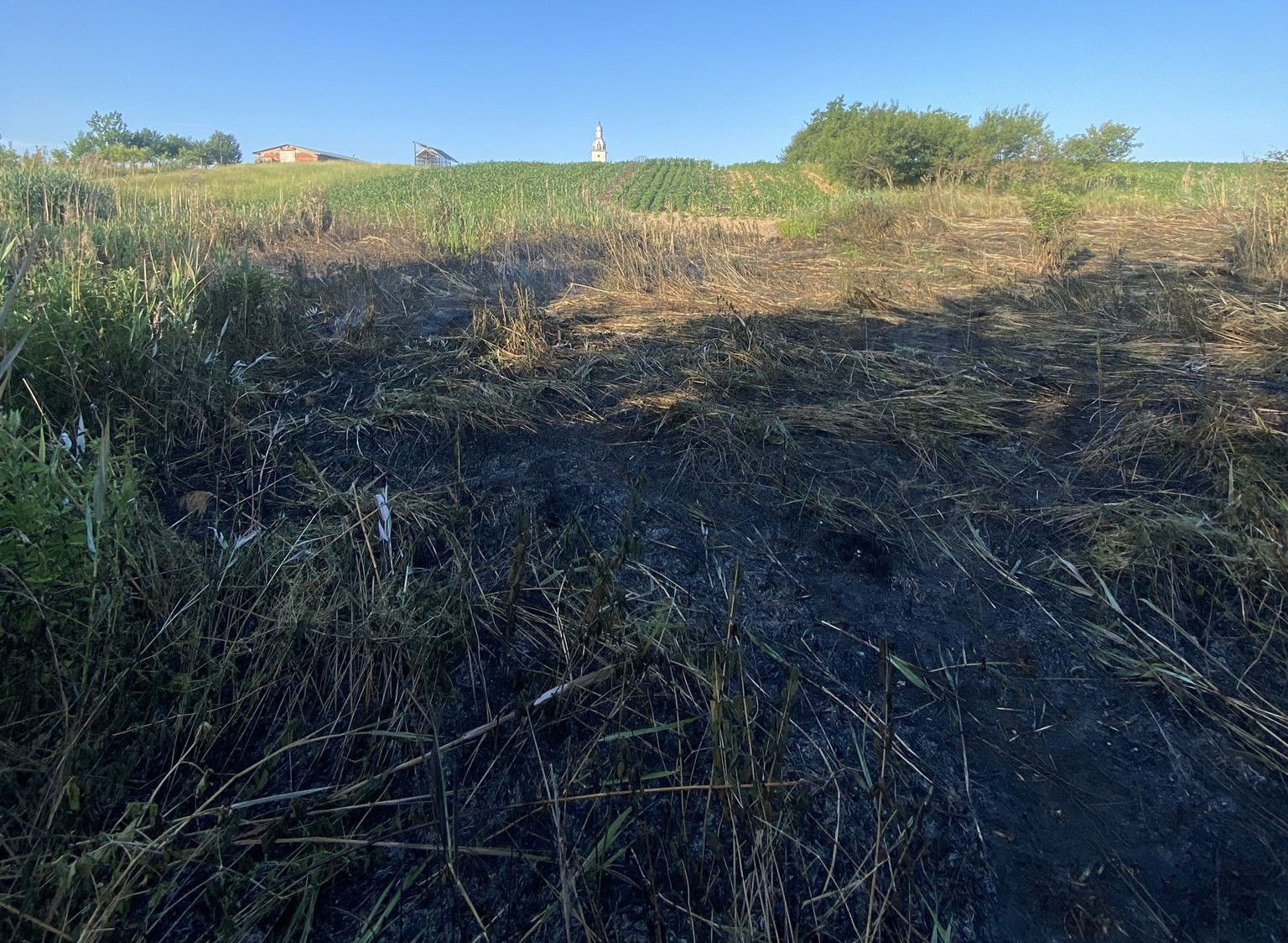 Tarló- és erdőtüzek pusztítottak Bihar megyében