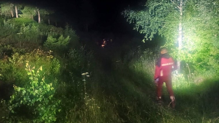 Medve ólálkodott a sátrazók körül, a fiatalok hatósági segítséget kértek