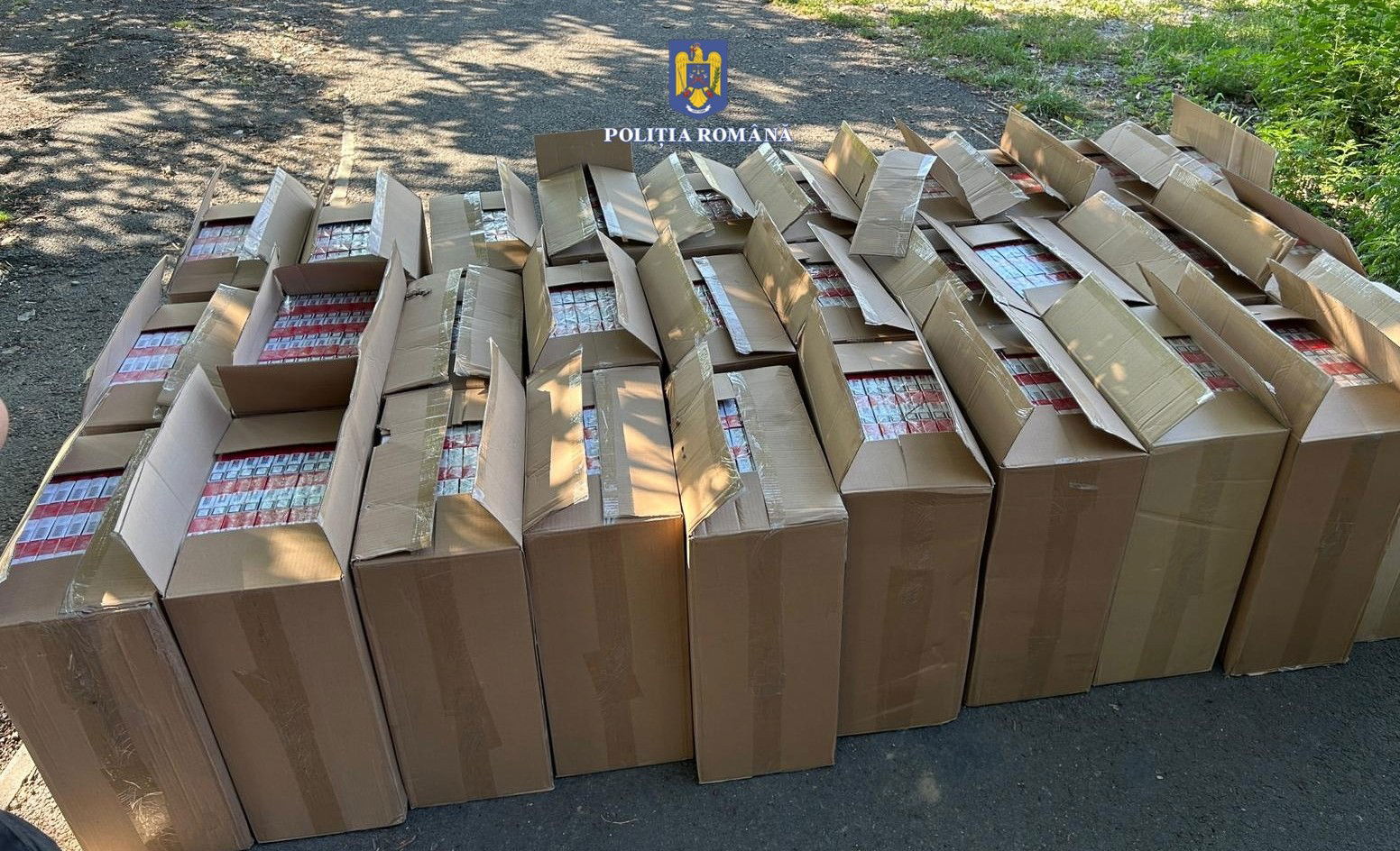 Közel negyvenötezer csomag csempészcigarettát foglaltak le Nagyváradon