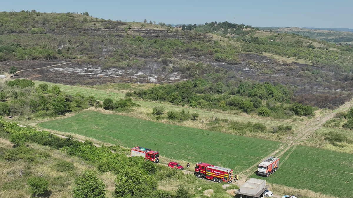 Több száz gyümölcsfa veszett oda Felsőlugason egy tarlótűzben