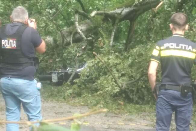 Faágak dőltek egy motorosra Vasaskőfalvánál