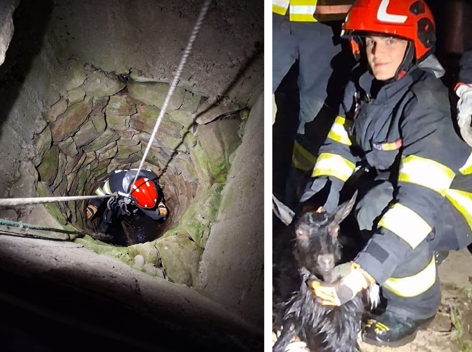 Kútból mentettek ki egy kecskét a tűzoltók Sonkolyoson