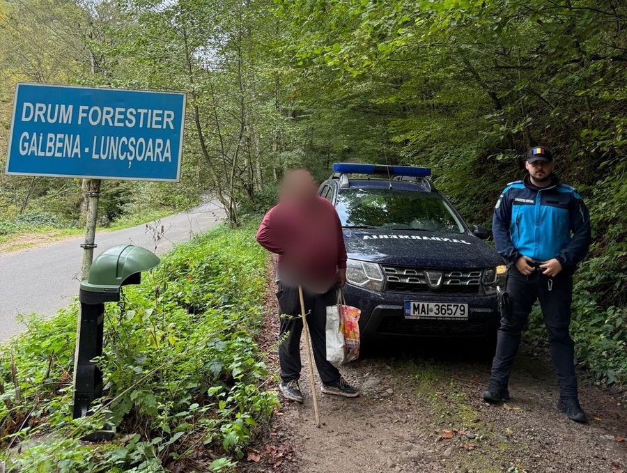 Gombaszedés közben tévedt el egy férfi Pádis környékén