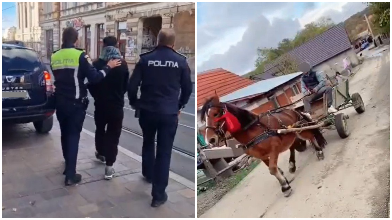 Állatkínzás miatt vettek őrizetbe egy alsólugasi férfit