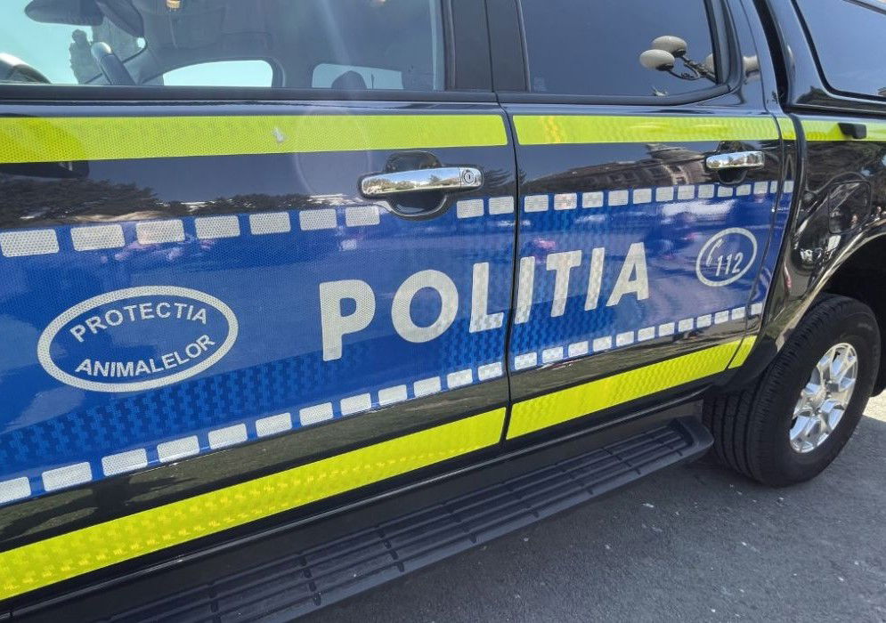 Engedély nélküli állatgyilkosság miatt vettek őrizetbe két tóti férfit