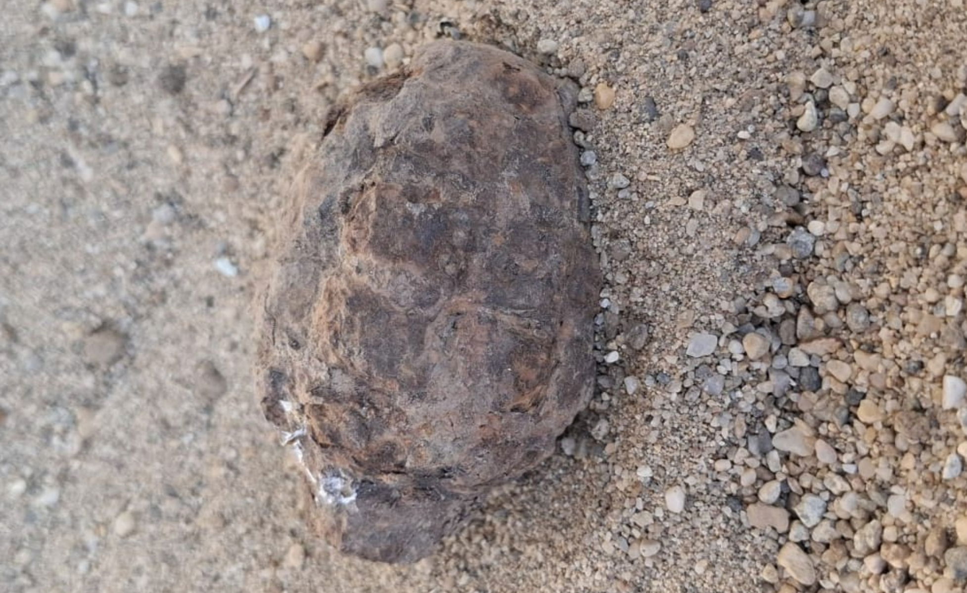 Védőgránát került elő egy váradi udvar földjéből