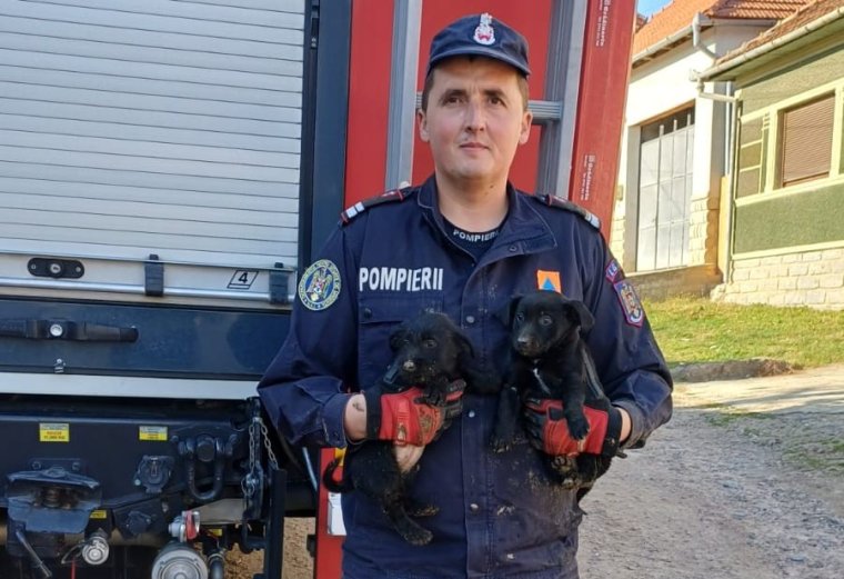 Két kölyökkutyát mentettek ki a belényesi tűzoltók egy csatornából│VIDEÓ