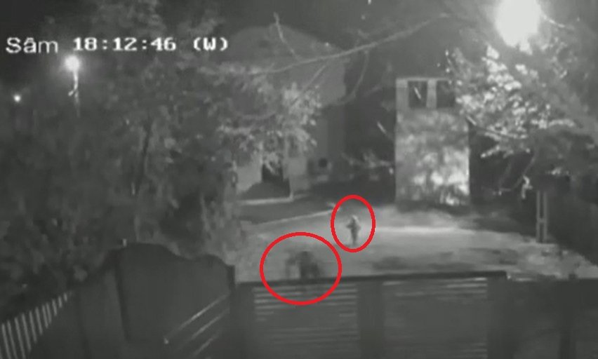 Megrázó videófelvétel: tizenöt késszúrással ölte meg a volt feleségét egy férfi