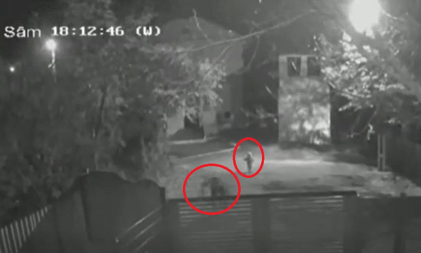 Megrázó videófelvétel: tizenöt késszúrással ölte meg a volt feleségét egy férfi