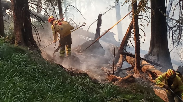Tűzeset és elsősegélynyújtás miatt riasztották legtöbbször a katonai tűzoltókat