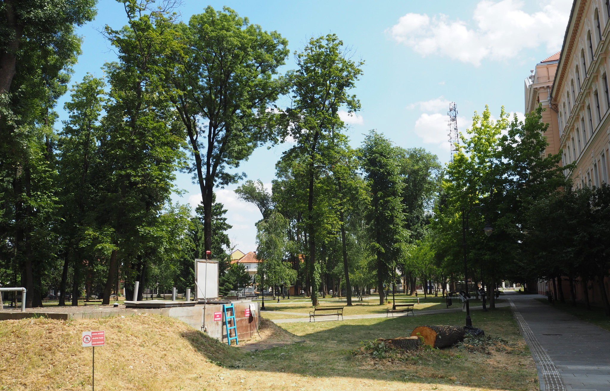 Fákat vágtak ki a múzeum parkjában, de újakat is ültettek