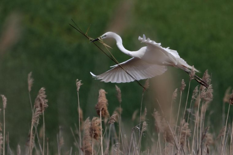 A pillanat varázsa: kiállítás természetfotókból