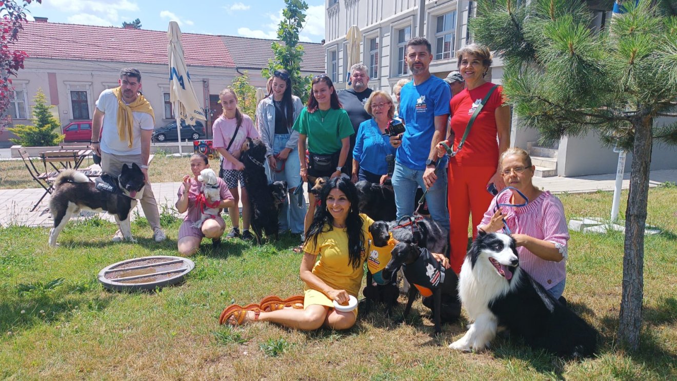 Kutyafesztivált és állatbarát szemléletű civil kezdeményezéseket jelentettek be