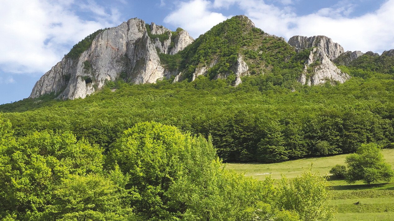 Az Erdélyi Gyopár legfrissebb lapszámának kínálatából