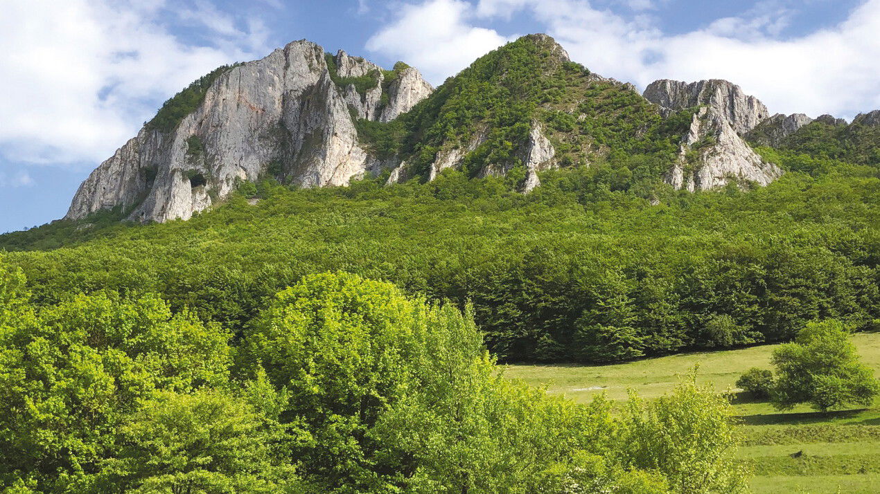 Az Erdélyi Gyopár legfrissebb lapszámának kínálatából