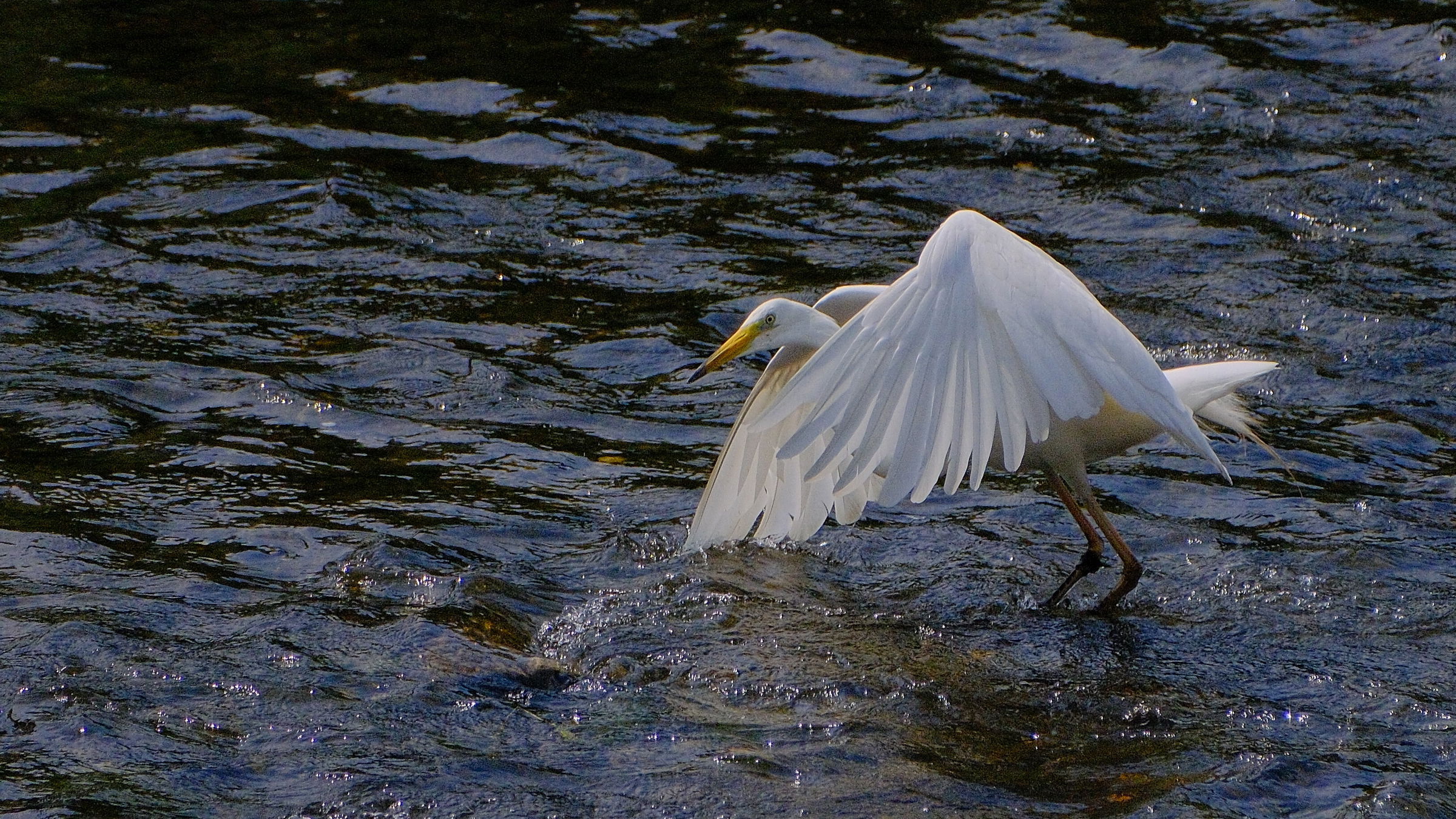Szerdán és csütörtökön is kitart a kánikula az ország nagy részében