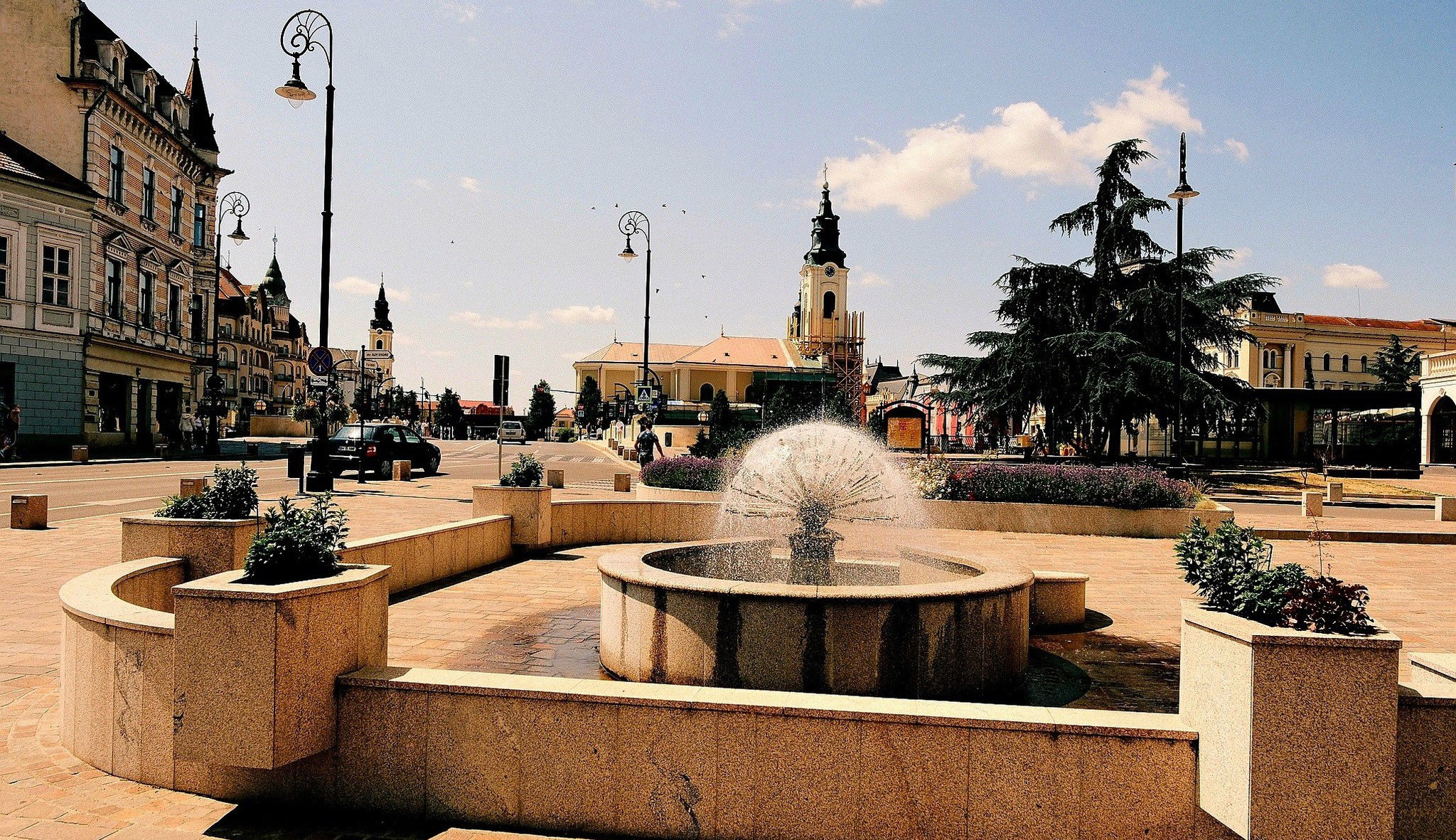 Intelligens fákkal a kellemesebb hőmérsékletért