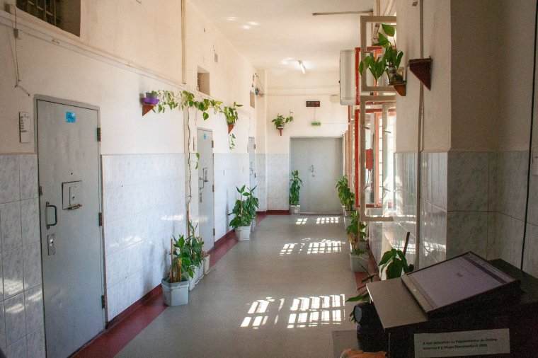 Felfüggesztettből letöltendőre változtatta a bíróság egy szexuális bántalmazás miatt elítélt hegyközpályi férfi börtönbüntetését