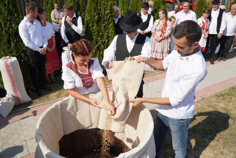 Várják a gabonát a Bihar megyei gyűjtőpontokon