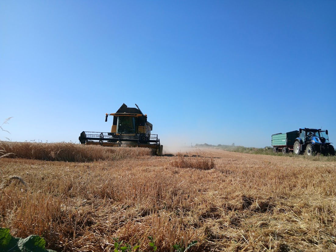 Biztosítva van a jövő évi kenyerünk