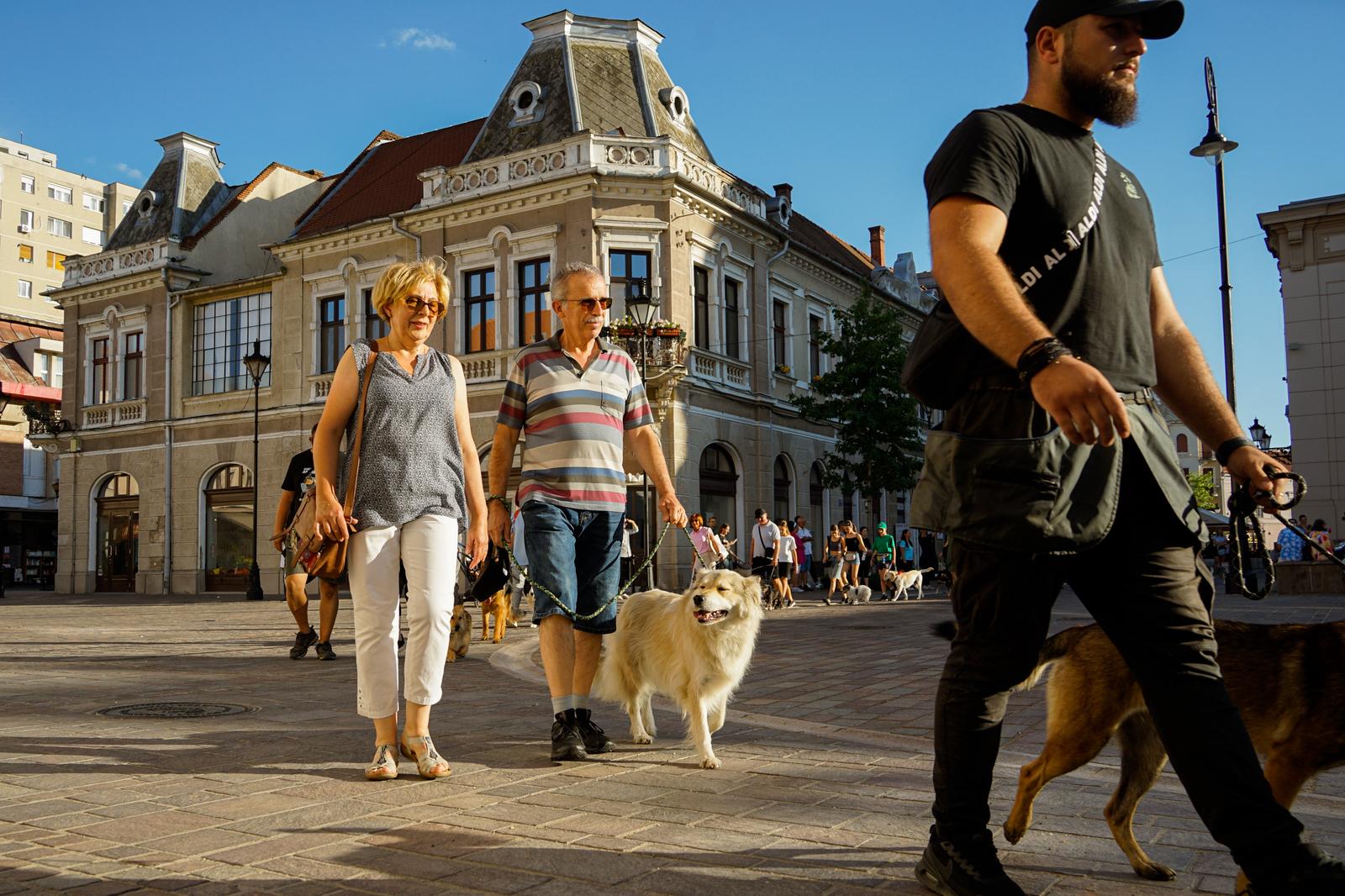 Több mint ötven kutya vonult fel Várad belvárosában | GALÉRIA ÉS VIDEÓ