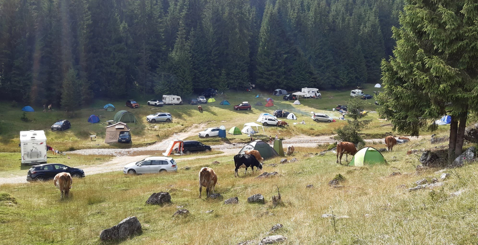 A túl sok szemét miatt kell fizetni a kempingezésért a Glavoj-réten