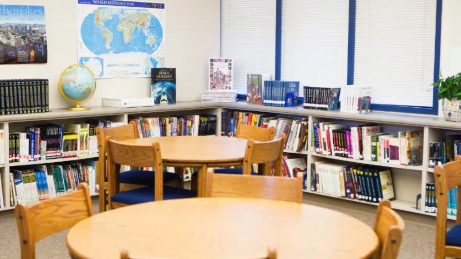 Tankönyvek nyelvi hibákkal, tükörfordítással: ki a felelős?