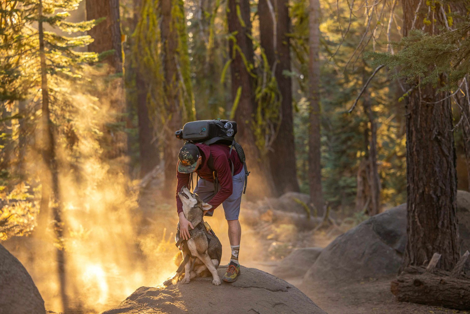 A kutyákra is vigyázni kell a hegyi túrákon