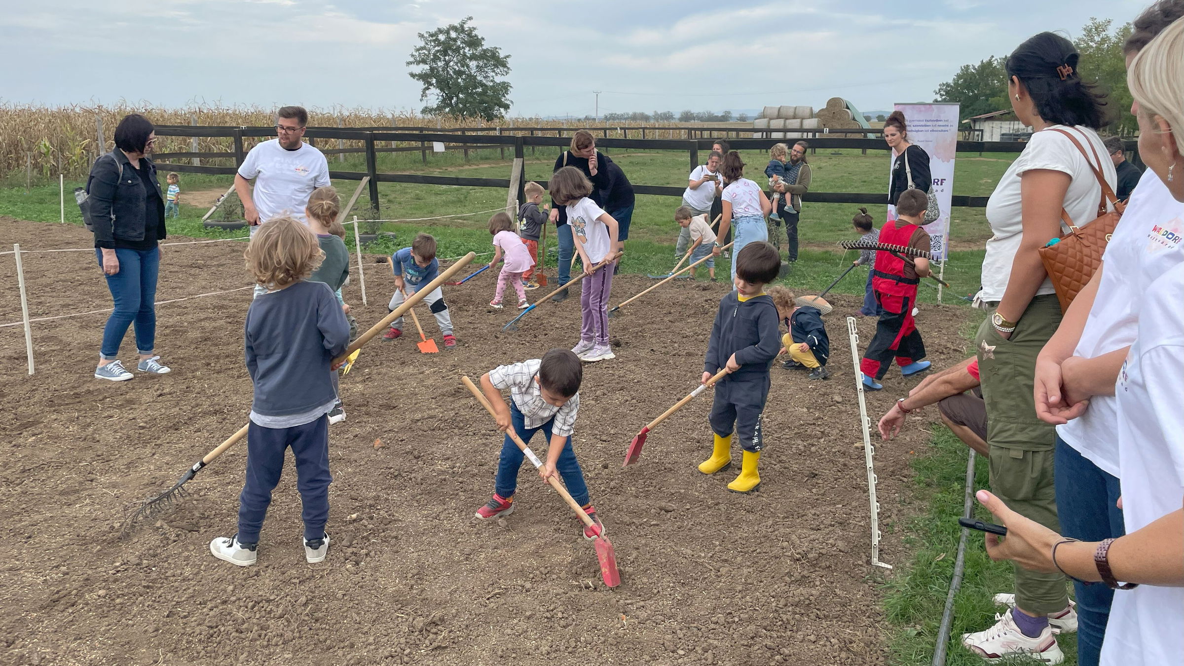 Búzavetéssel kezdődött a kenyér útja – közösségi élmény a nagyváradi Waldorf óvodával