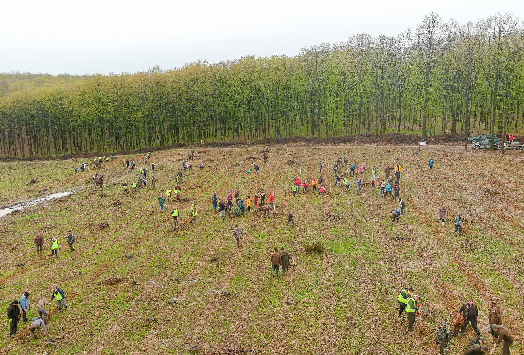 Kétszáz hektár területen telepítenek erdőket Bihar megyében