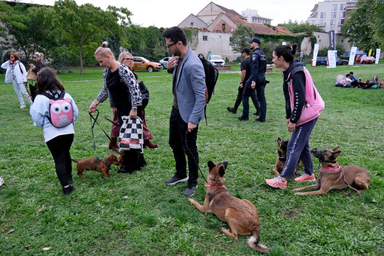 Faültetéssel emlékeznek a házi kedvencekre Nagyváradon