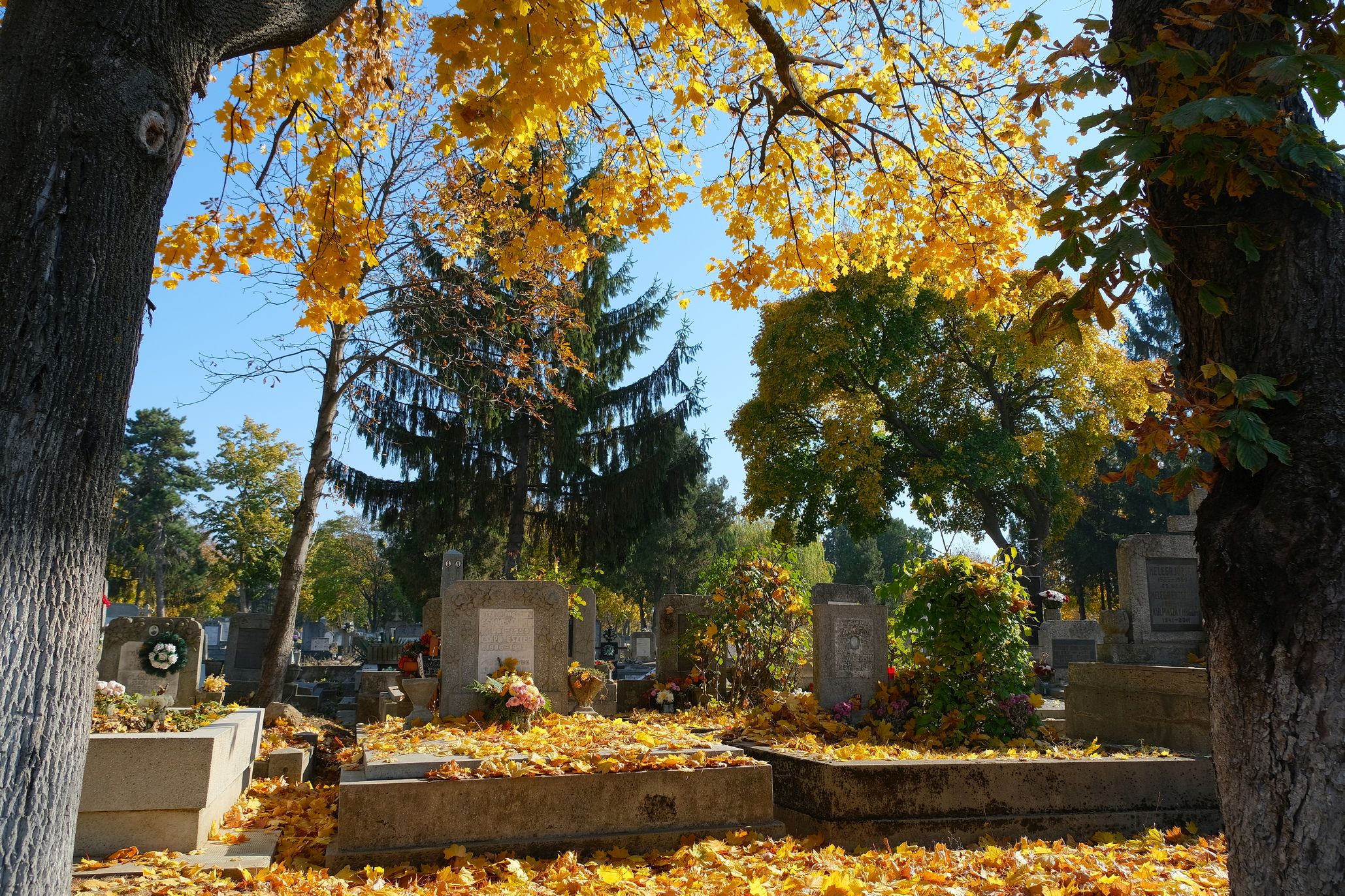 Hosszabbított program a Rulikowski temetőben