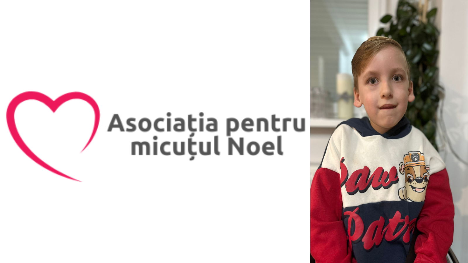 Új kezdeményezés: a Noel Egyesület is beszállt az ingyenes SMA-tesztekért folytatott küzdelembe