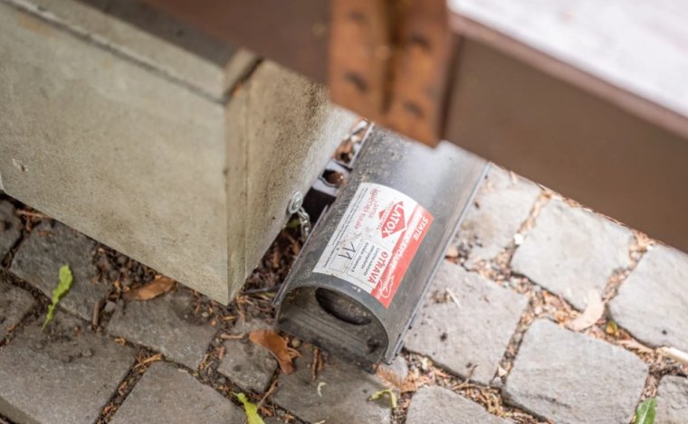 Rágcsálóirtást tartanak Nagyváradon