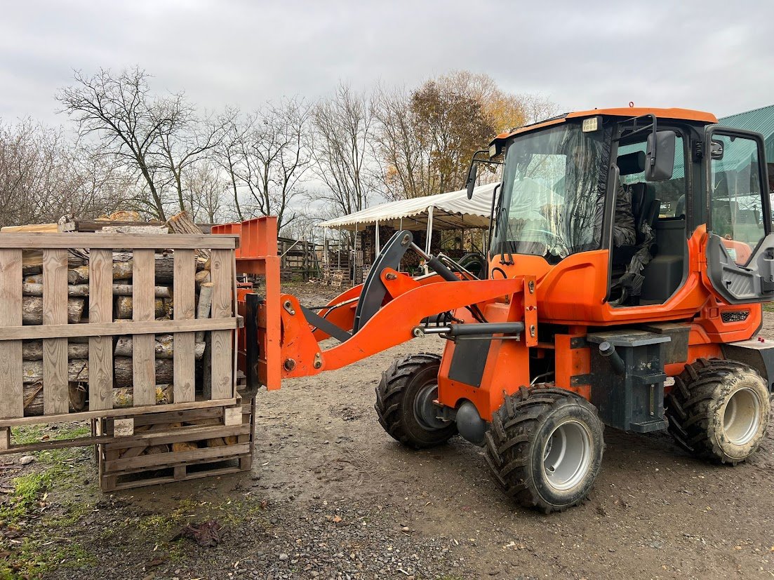 Egyedülálló idősek a tűzifacsalók célkeresztjében