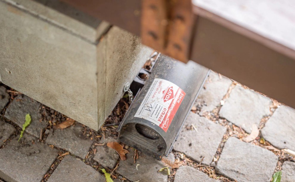 Rágcsálóirtást tartanak Nagyváradon