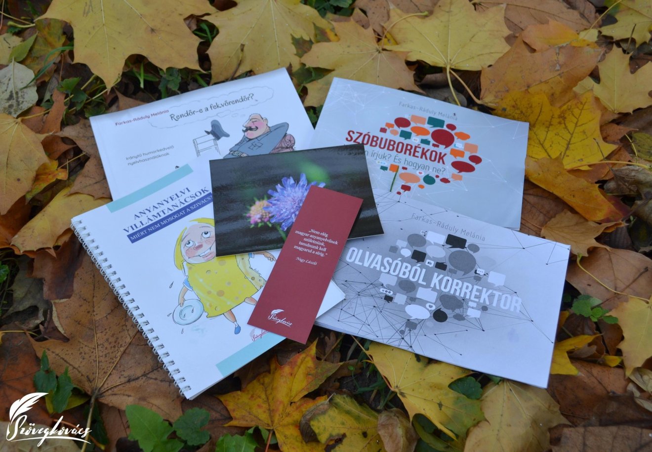 Helyesírás könnyedén – Nagyváradon is bemutatkozik a Szövegkovács