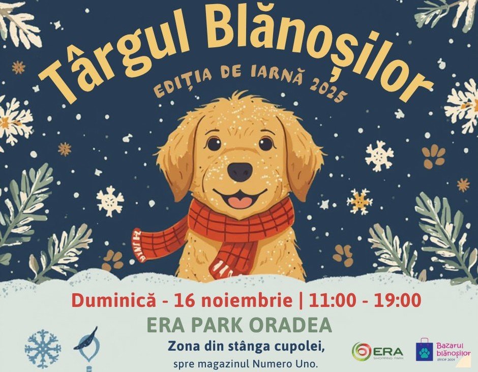 Téli jótékonysági vásár a gazdátlan négylábúak javára