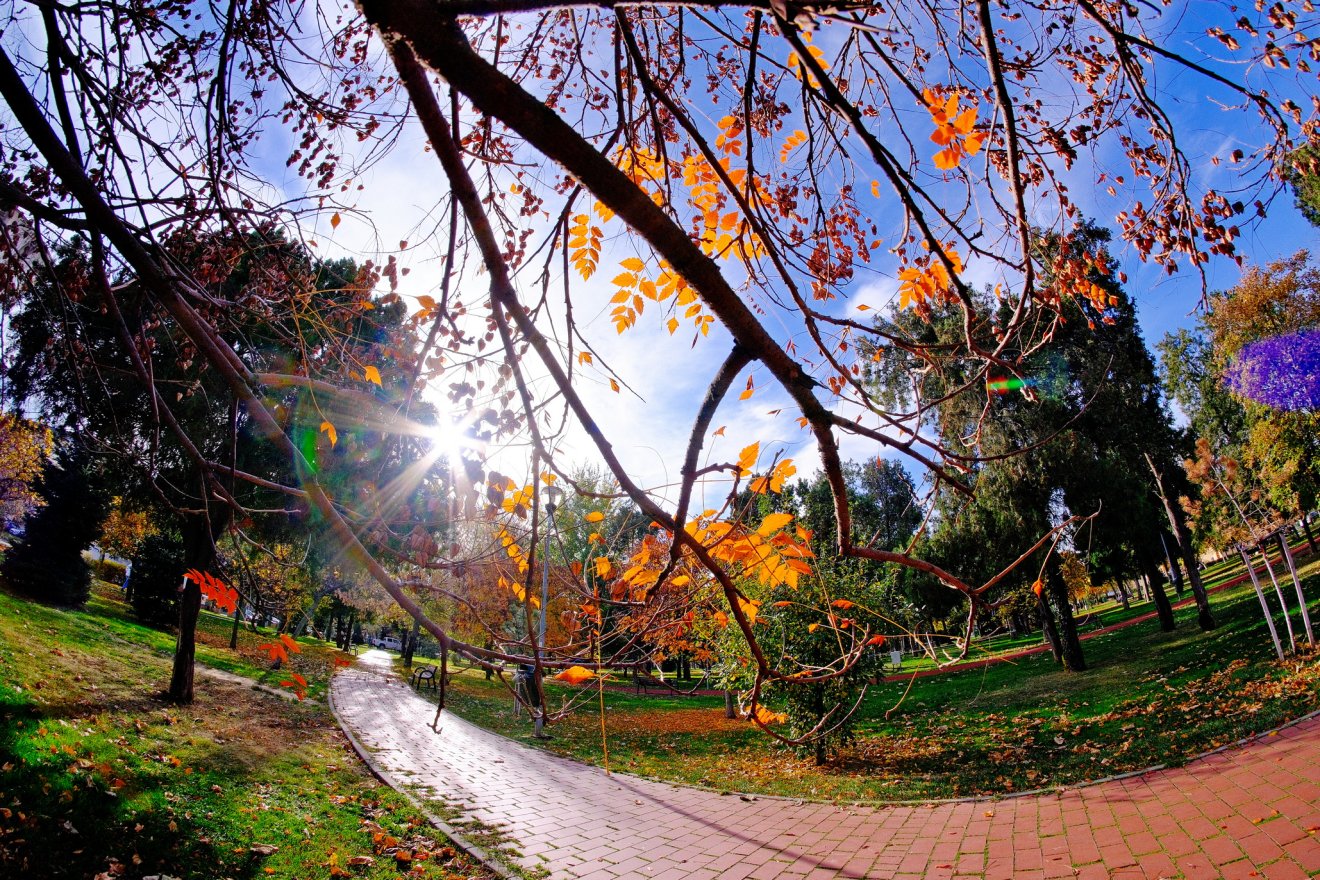 November Nagyváradon – az ősz utolsó színei | GALÉRIA