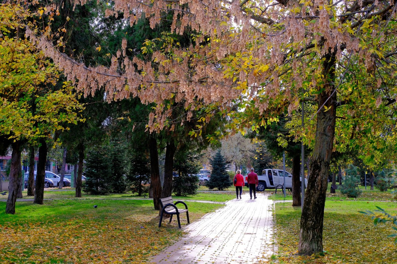 Többnyire 13-15 fok körüli maximumok várhatók a következő két hétben