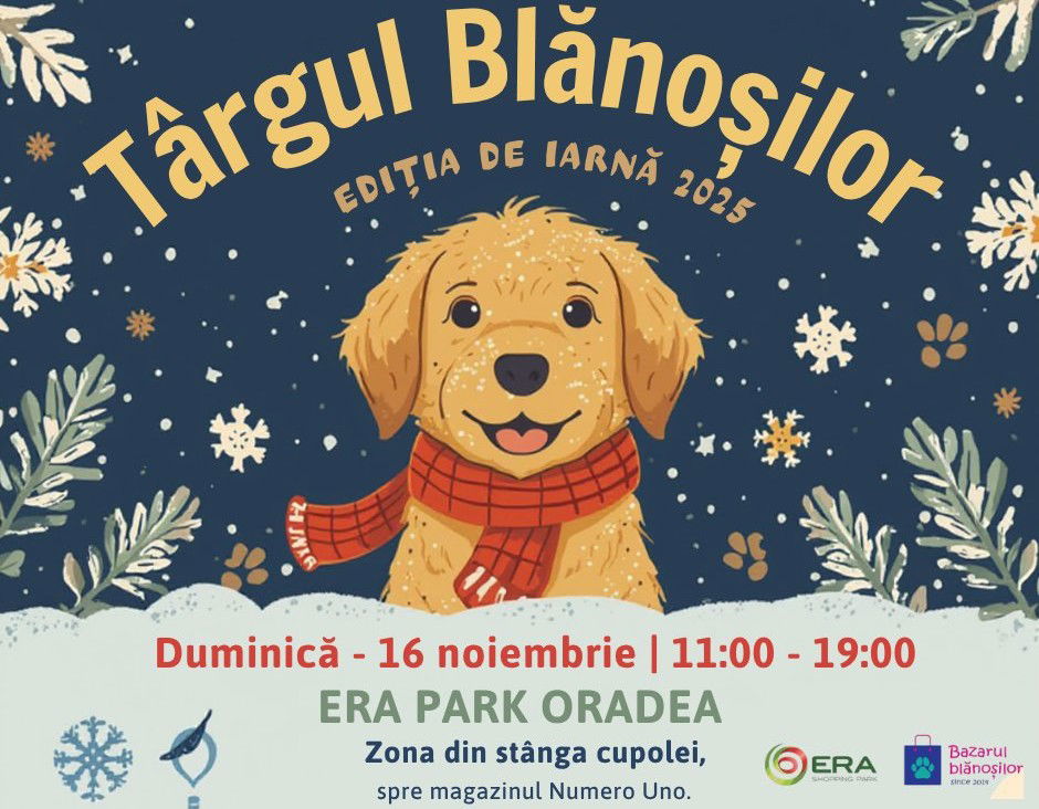 Téli jótékonysági vásár a gazdátlan négylábúak javára