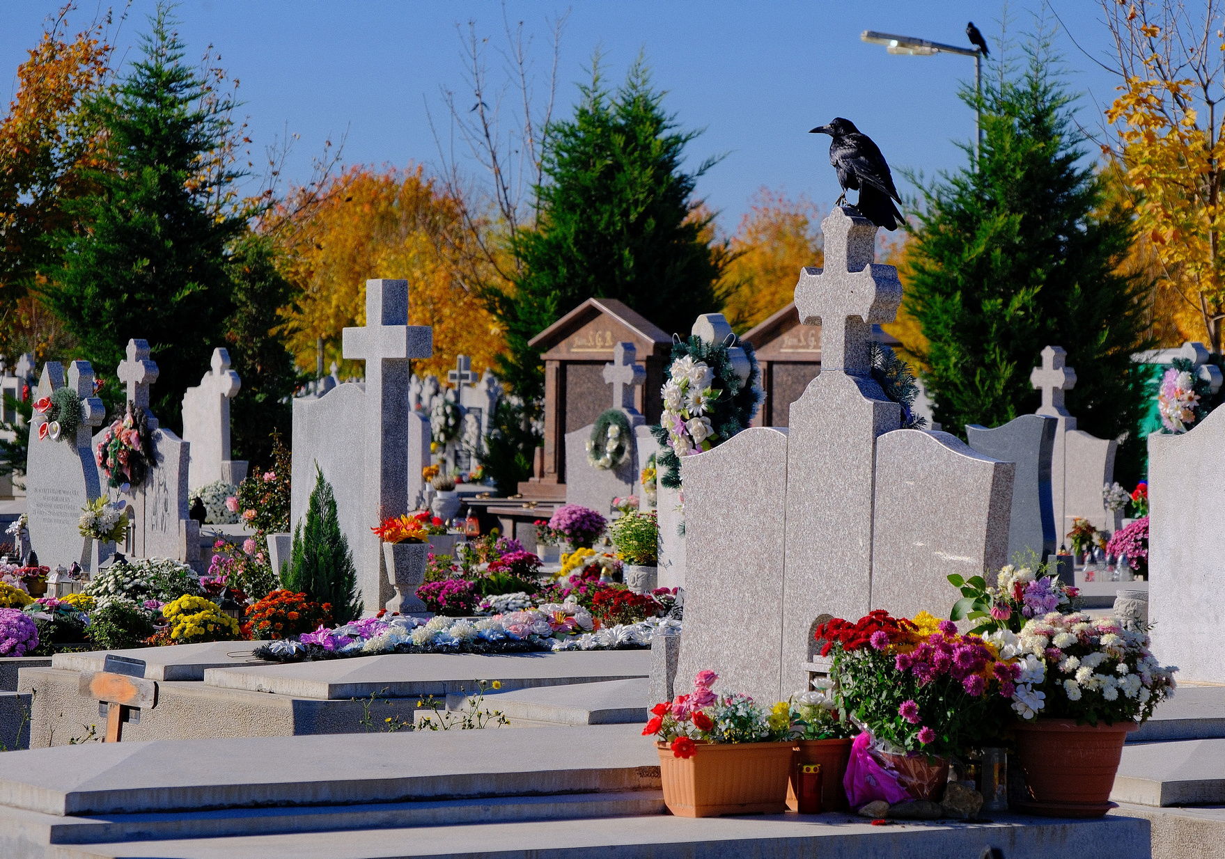 Megjelölnék a nagyváradi Rulikowski temetőben nyugvó jeles személyiségek sírhelyeit